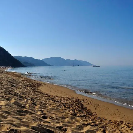 Maria's Corfu Alepou